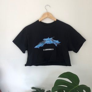 Dolphin crop